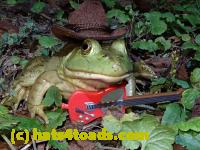 /home//u458753944/public_html/sourcegallery////////////////////////Frogs/Bullfrogs 2020-09 Upper Merion/P9280729.JPG
